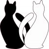 Black and White Cats Sticker