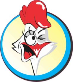 Circle Chicken Sticker