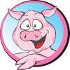 Circle Pig Sticker