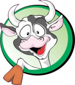 Circle Cow Sticker