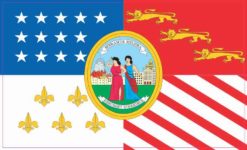 Detroit Flag