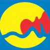 Grand Rapids Flag