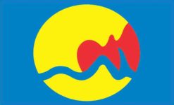 Grand Rapids Flag