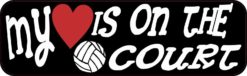 Volleyball