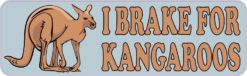 kangaroos