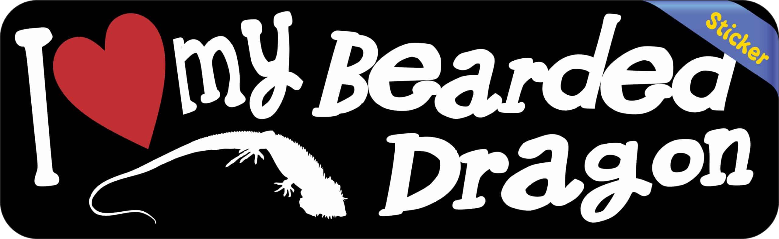 10in x 3in I Love My Bearded Dragon Bumper Sticker Vinyl Vehicle Decal