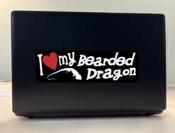 10in x 3in I Love My Bearded Dragon Bumper Sticker Vinyl Vehicle Decal