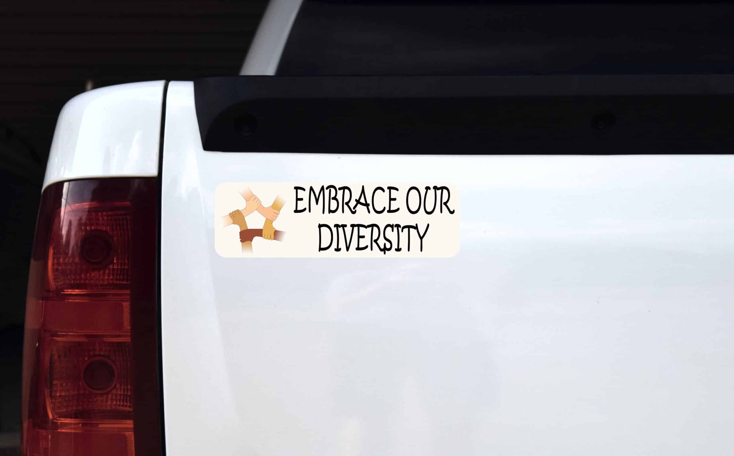 10in x 3in Embrace Our Diversity Bumper Sticker Vinyl Car Decal Stickers