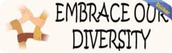10in x 3in Embrace Our Diversity Bumper Sticker Vinyl Car Decal Stickers