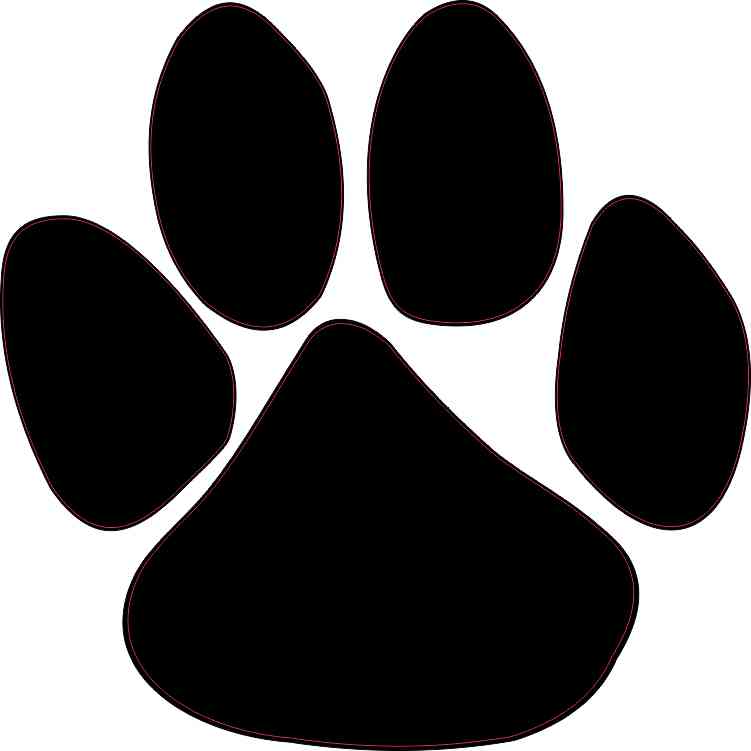 paw print bumper sticker