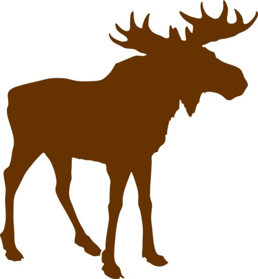 Brown Bull Moose Sticker