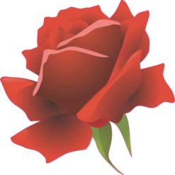 Side View Rose Sticker