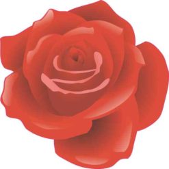Rose Sticker