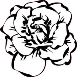 White Rose Sticker