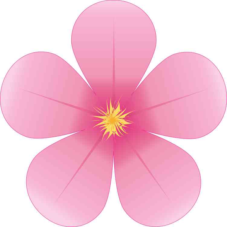 5in x 5in Pink Flower Sticker Vinyl Tumbler Decal Floral Vehicle