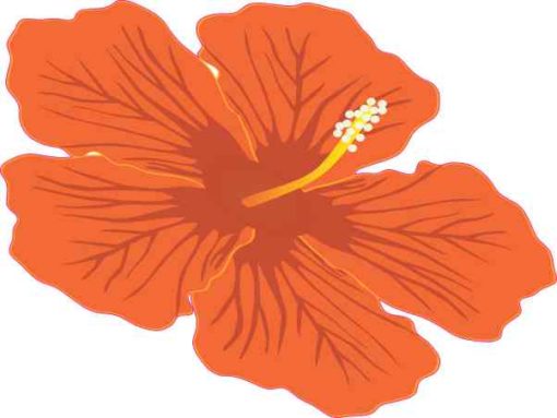 Orange Hibiscus Sticker