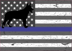 Blue Lives Matter