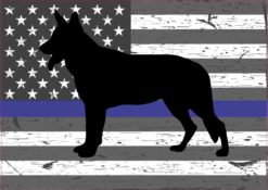 Blue Lives Matter