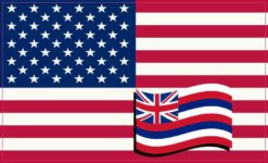 Hawaii Flag
