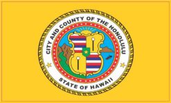 Honolulu Flag