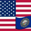 New Hampshire Flag