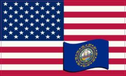 New Hampshire Flag