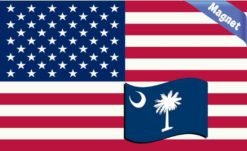 New Mexico Flag