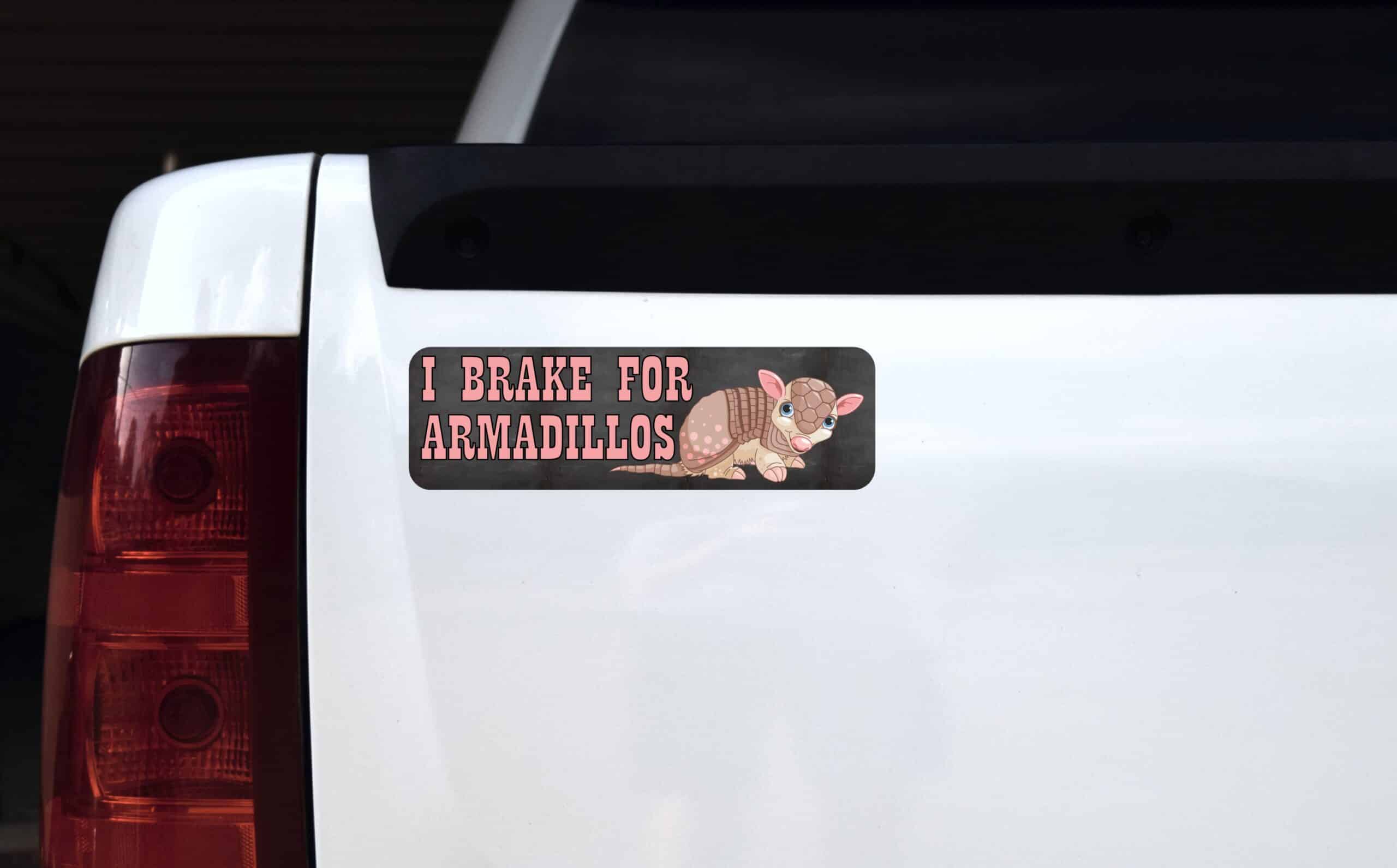 10in x 3in I Brake for Armadillos Magnet Magnetic Animal Car Bumper