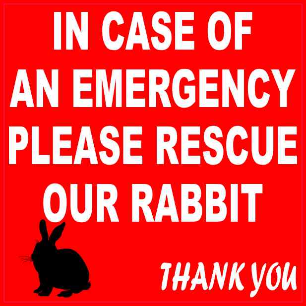 In Case Of An Emergency Please Rescue Our Rabbit Magnet