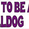 bulldog