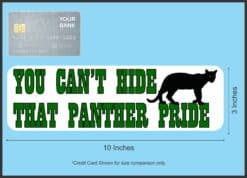 10in x 3in Green You Can't Hide That Panther Pride Magnet School Mascot
