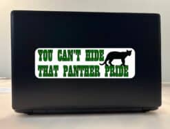 10in x 3in Green You Can't Hide That Panther Pride Bumper Sticker Mascot Decal