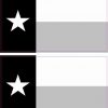 Black and White Texas Flag Magnets