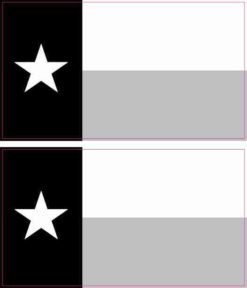 Black and White Texas Flag Magnets