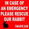 rabbit sticker