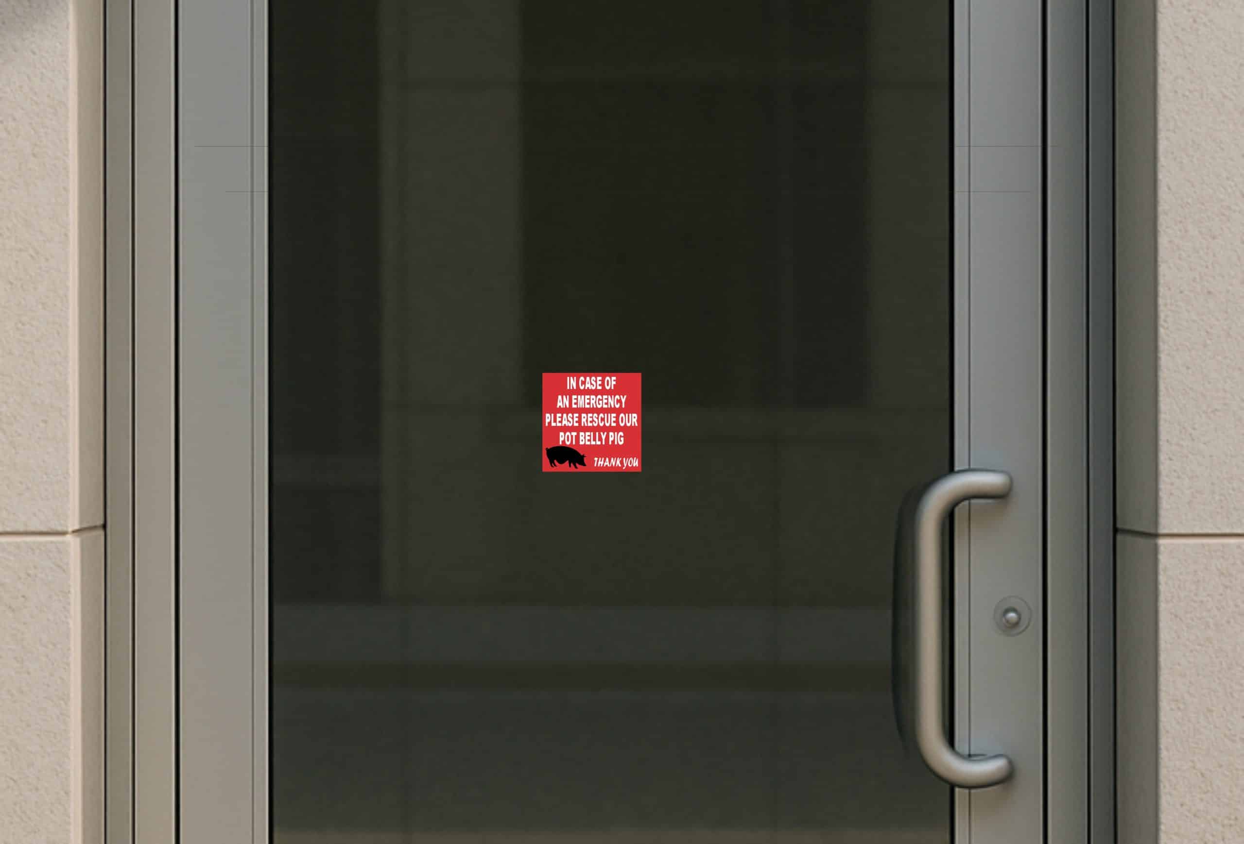 4in x 4in In Case Of An Emergency Please Rescue Our Pot Belly Pig - Image 6