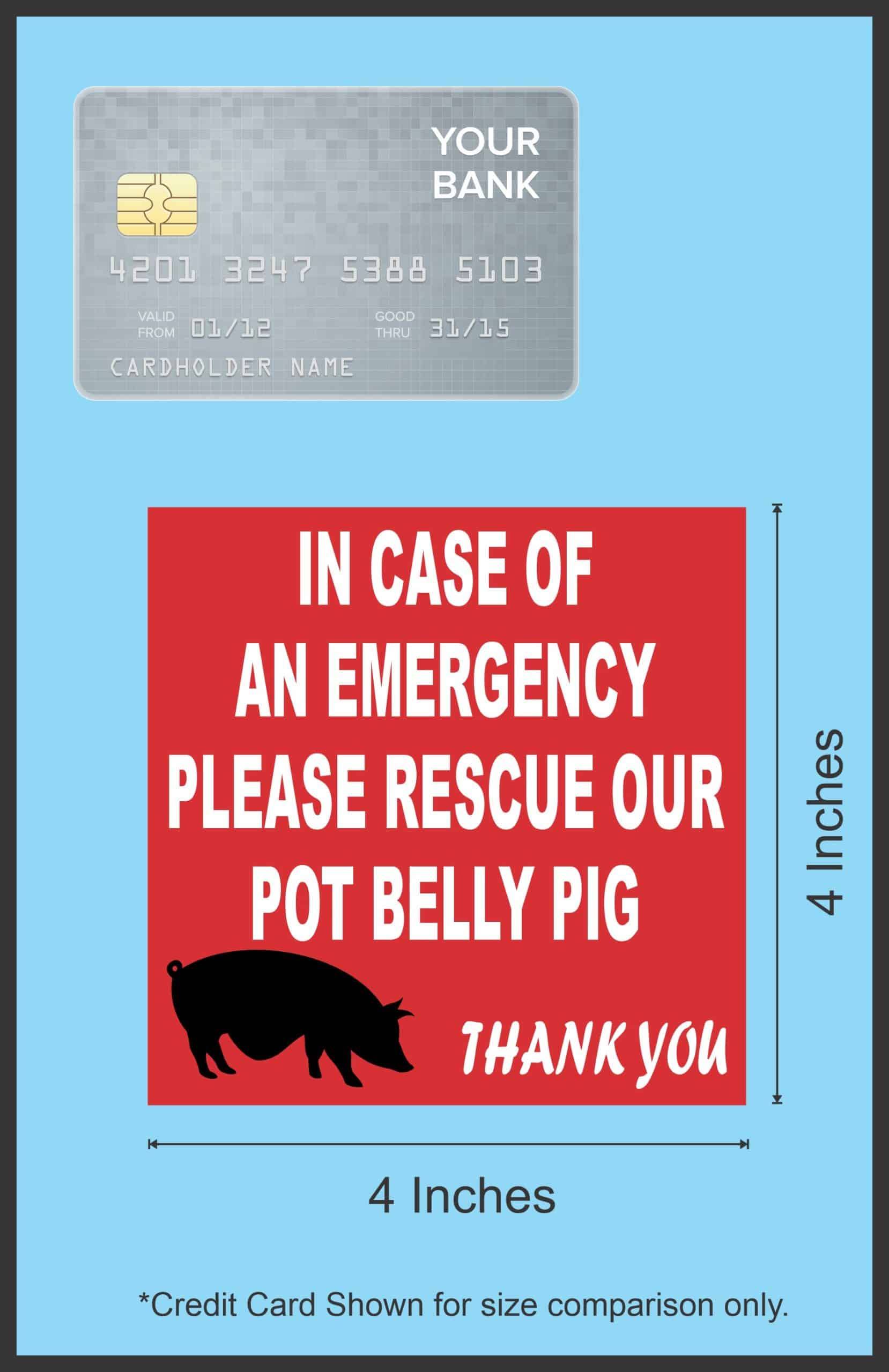 4in x 4in In Case Of An Emergency Please Rescue Our Pot Belly Pig - Image 7