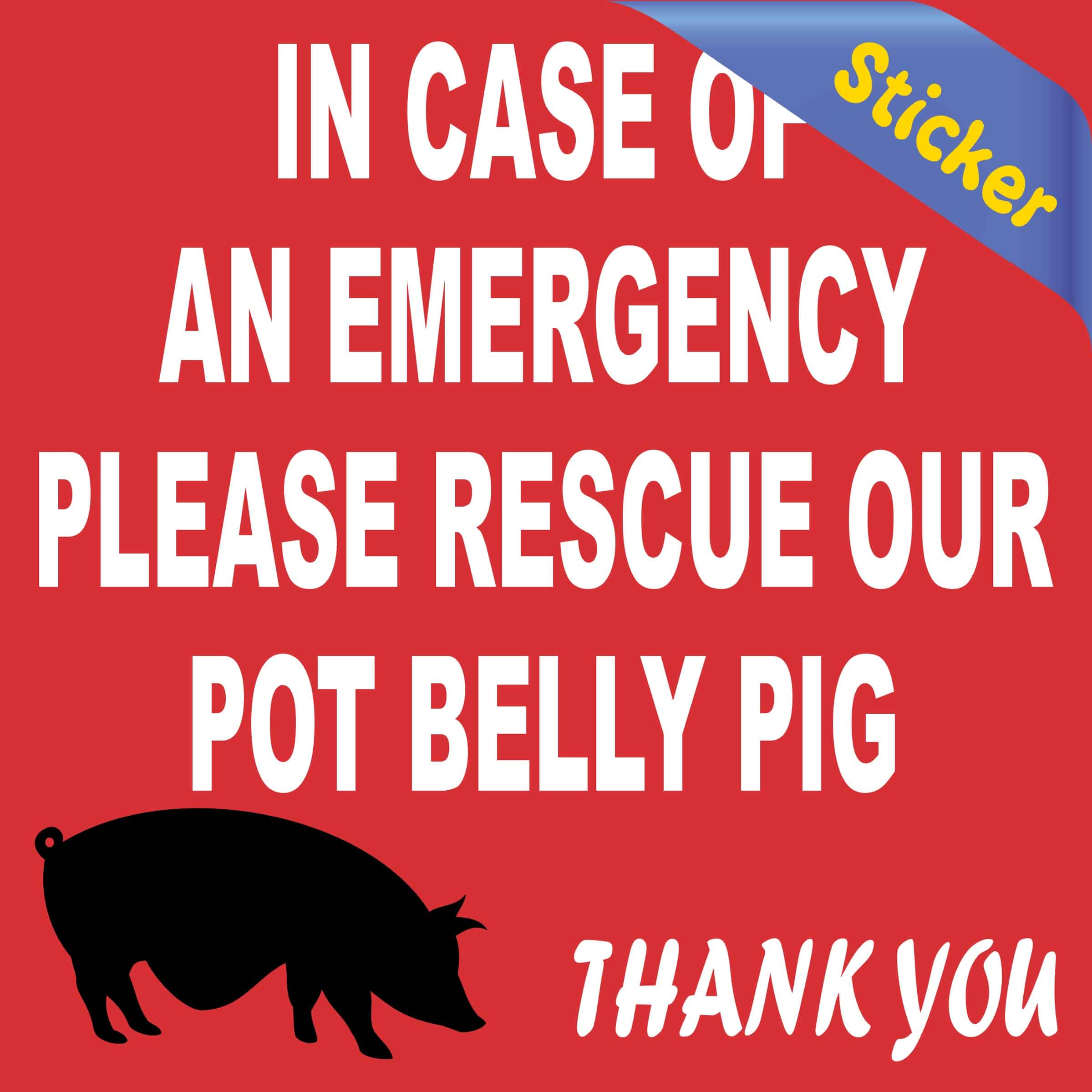 4in x 4in In Case Of An Emergency Please Rescue Our Pot Belly Pig - Image 2