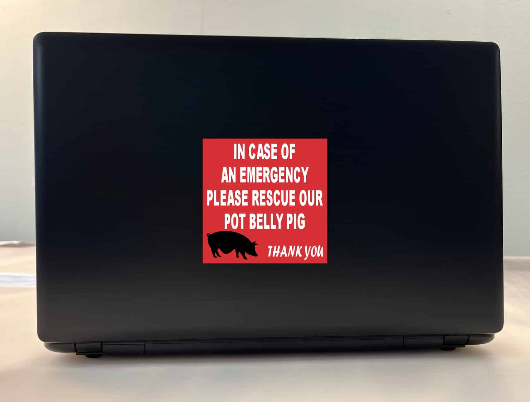 4in x 4in In Case Of An Emergency Please Rescue Our Pot Belly Pig - Image 3