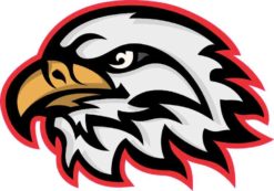 eagle head mascot sticker