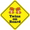 Boy Twins on Board Magnet