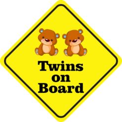 Boy Twins on Board Magnet