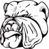 bulldog sticker