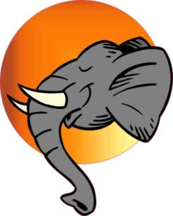 Circle Elephant Sticker