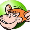 monkey sticker