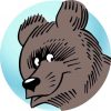 bear sticker
