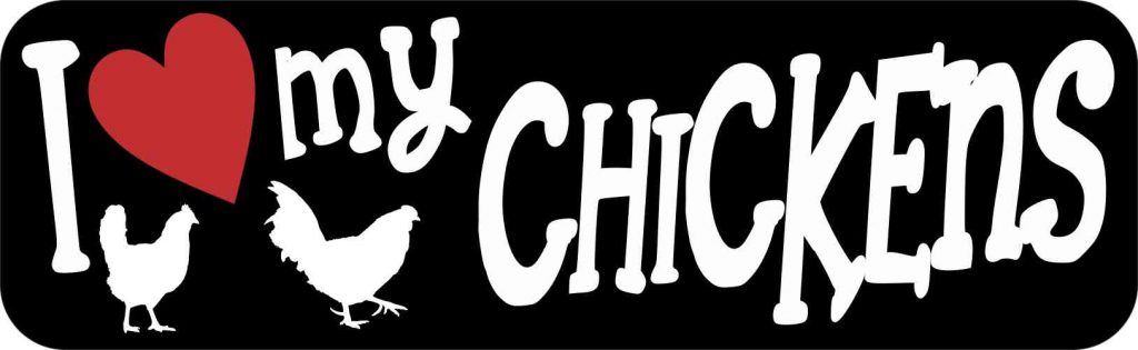 I Love My Chickens Magnet