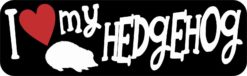 I Love My Hedgehog Magnet