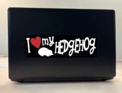 10in x 3in I Love My Hedgehog Bumper Sticker Vinyl Animal Vehicl
