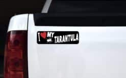 10in x 3in I Love My Tarantula Bumper Sticker Vinyl Animal Vehic